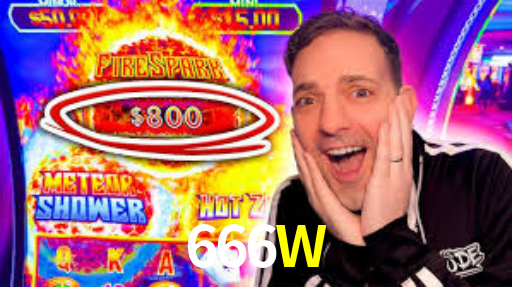 Interface Premium 666W